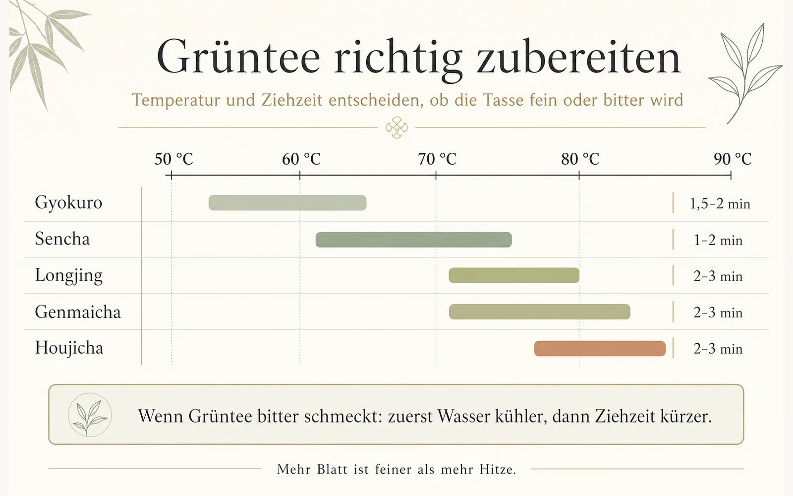 Infografik: Grüntee richtig zubereiten mit Temperatur und Ziehzeit
