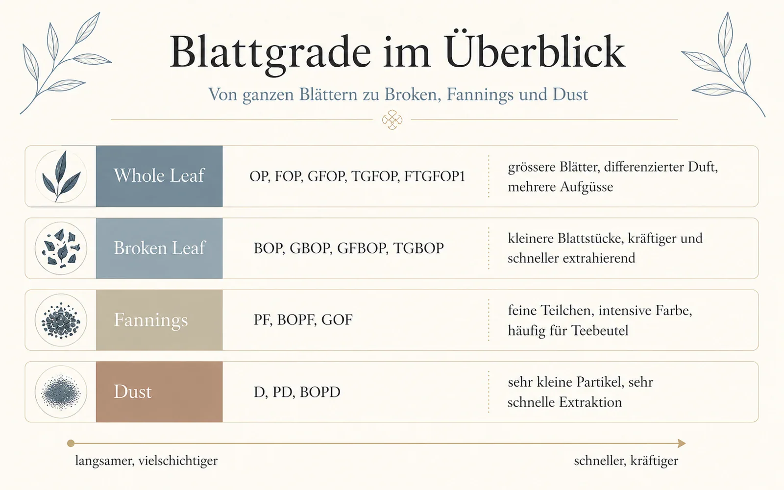 Infografik: Tee-Blattgrade Whole Leaf, Broken Leaf, Fannings und Dust im Überblick
