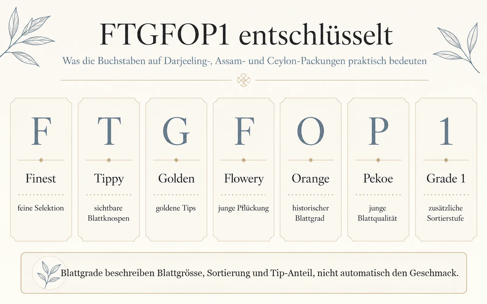 Infografik: FTGFOP1 Buchstaben Finest, Tippy, Golden, Flowery, Orange, Pekoe und Grade 1 erklärt