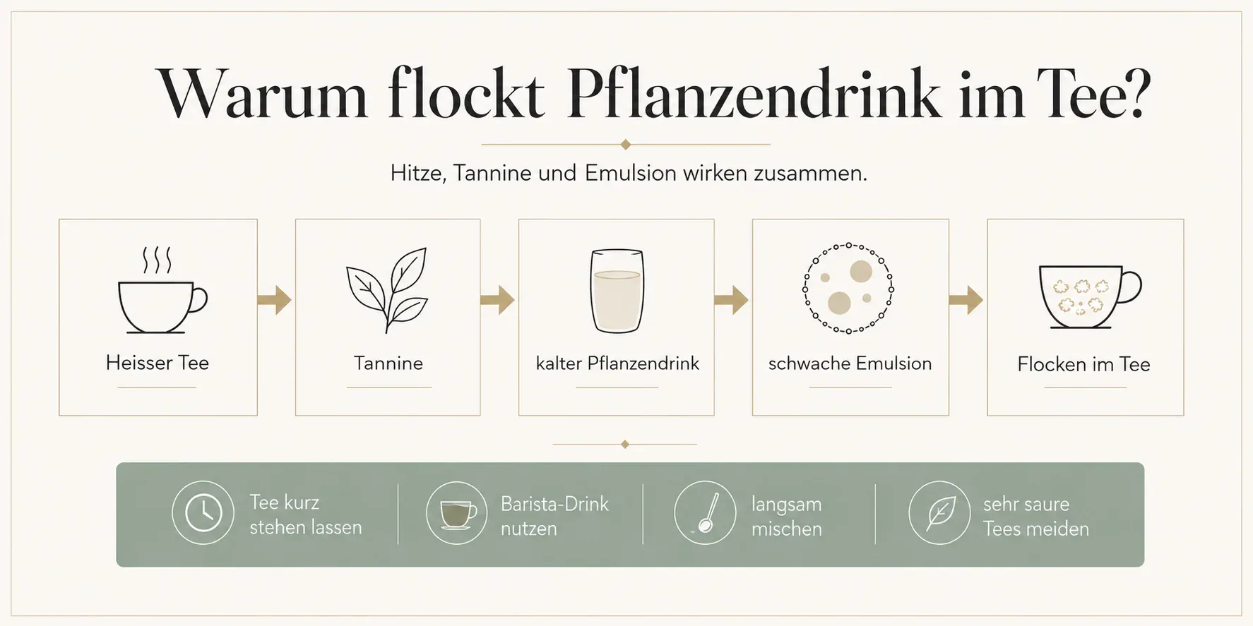 Prozessgrafik warum Pflanzendrink im Tee flockt und wie man Flocken vermeidet