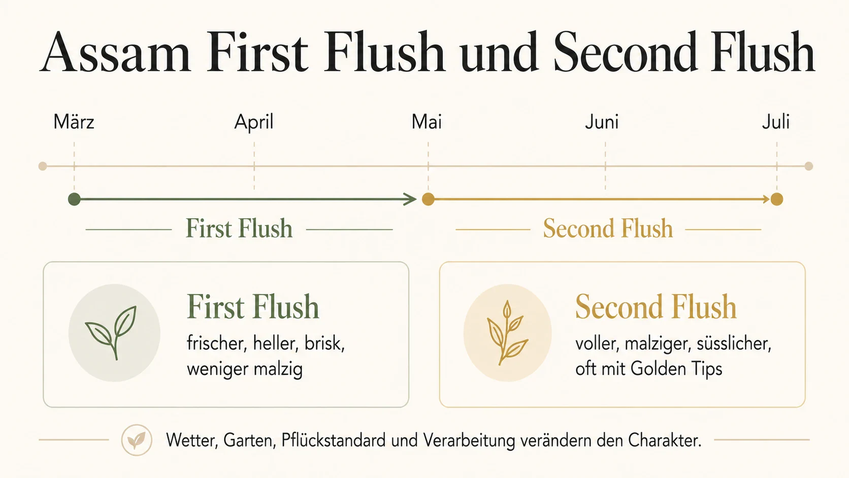 Timeline-Grafik zu Assam First Flush von Maerz bis Mai und Second Flush von Mai bis Juli