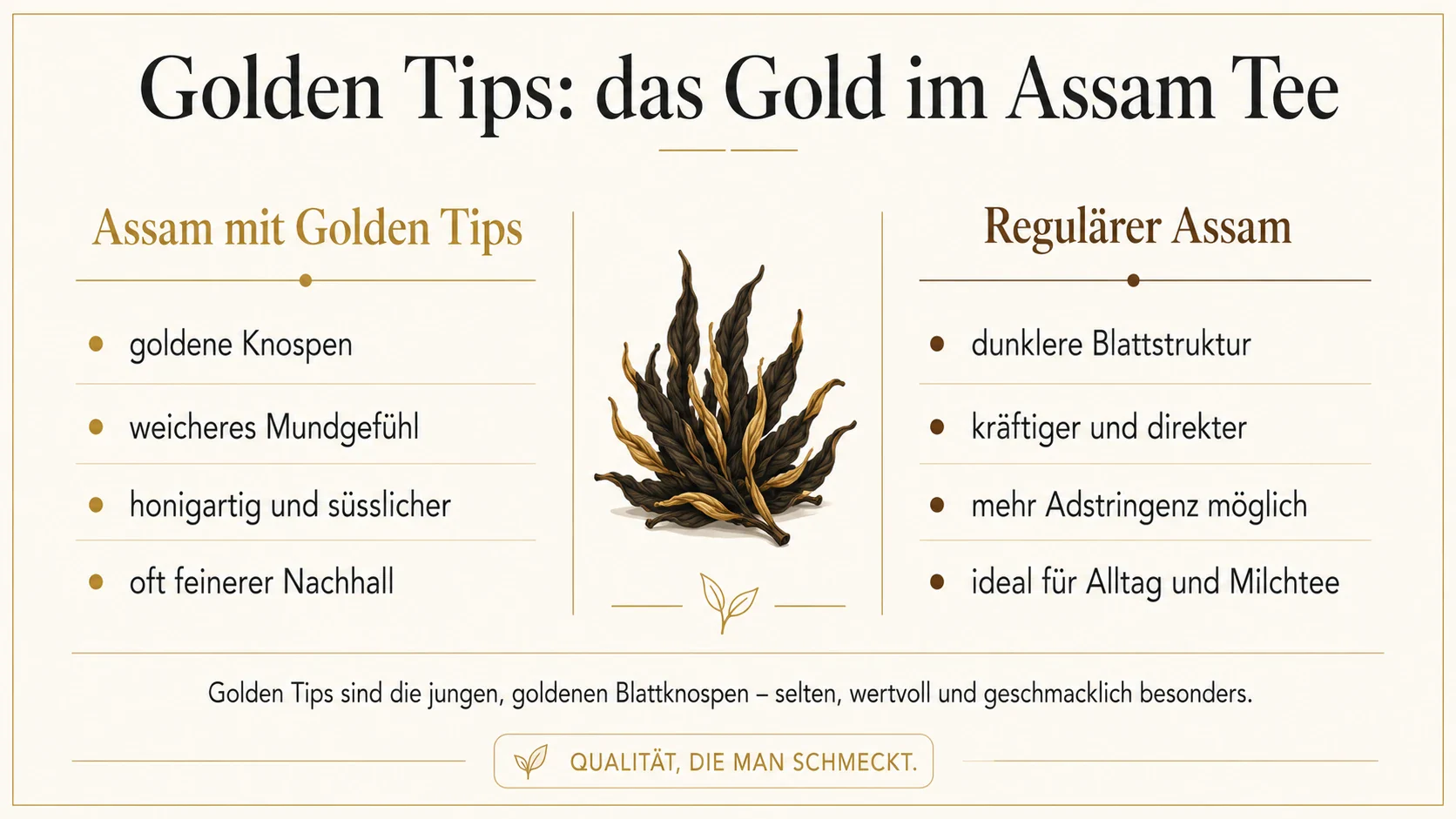 Infografik zu Golden Tips im Assam Tee mit Vergleich zwischen Assam mit goldenen Knospen und regulaerem Assam
