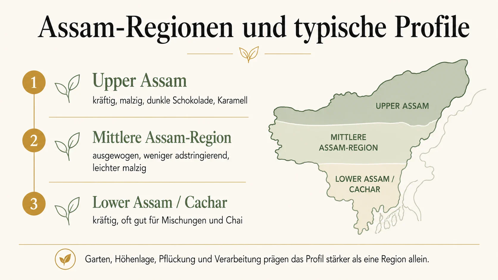 Infografik zu Assam Regionen wie Upper Assam, mittlere Assam-Region und Lower Assam beziehungsweise Cachar mit typischen Teeprofilen