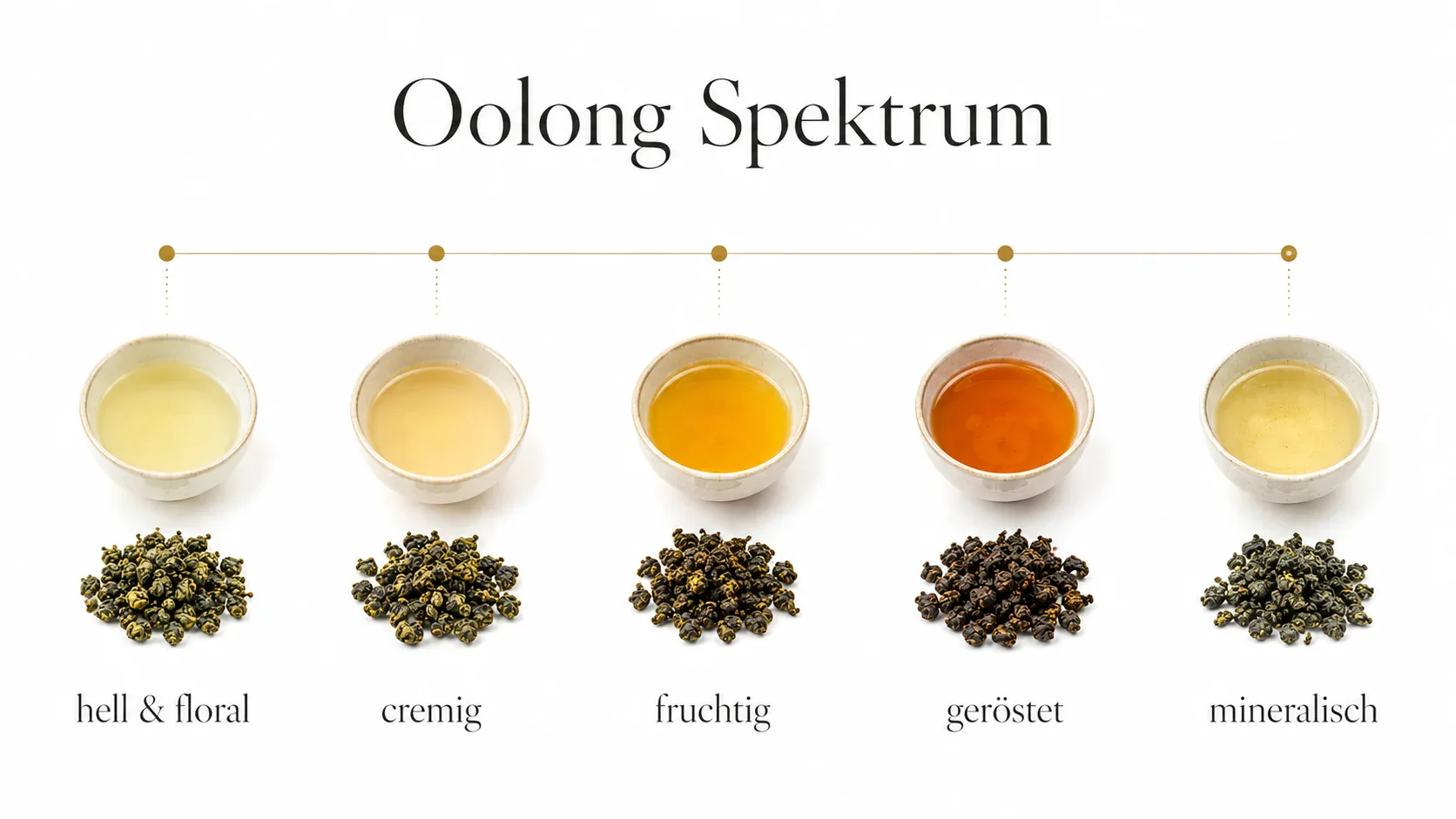 Infografik zum Oolong Tee Spektrum von hell und floral bis geröstet und mineralisch