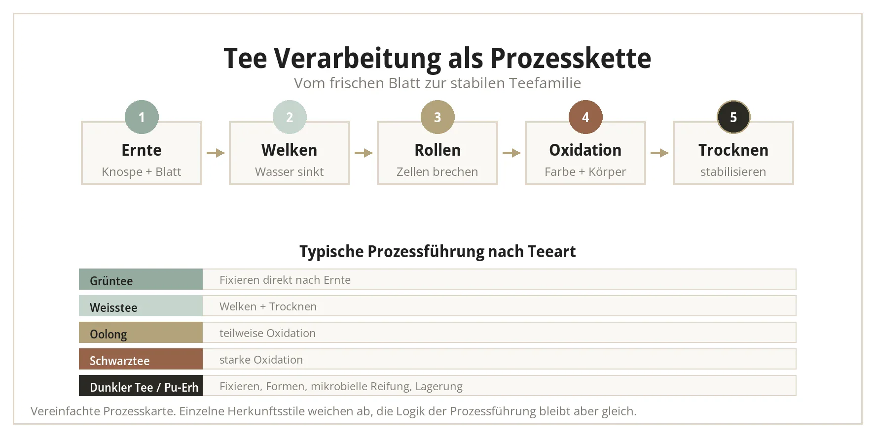 Infografik Tee Verarbeitung als Prozesskette: Ernte, Welken, Rollen, Oxidation und Trocknen mit typischer Prozessführung für Grüntee, Weisstee, Oolong, Schwarztee und Pu-Erh