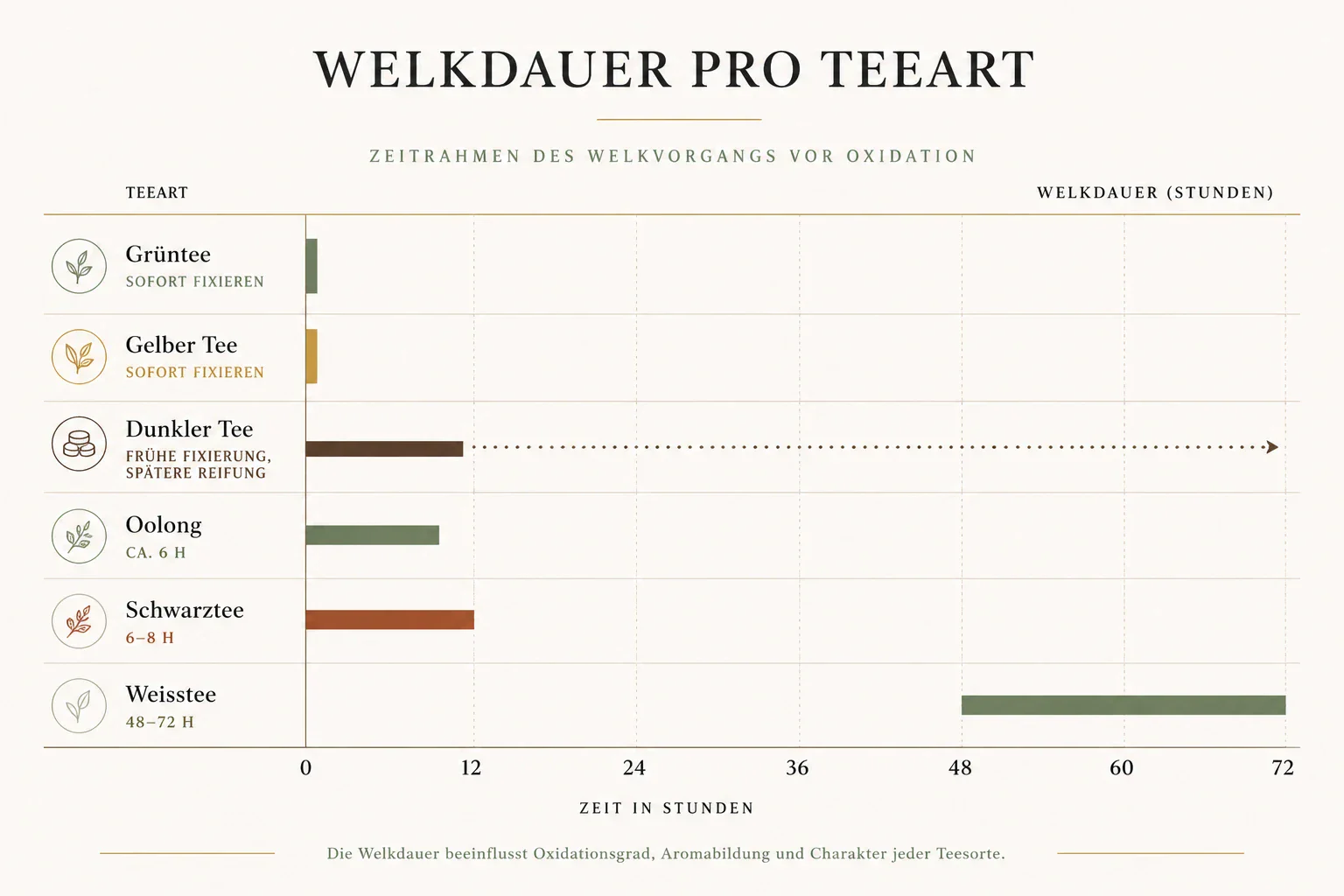 Infografik zur Welkdauer verschiedener Teearten von sofortiger Fixierung bis 72 Stunden bei Weisstee